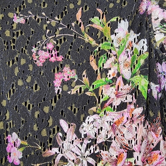 Anthropologie eri + ali Nevaeh floral lace fit & flare dress Size 2 - Picture 4 of 12